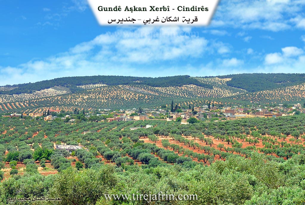 Photo of Aşkê Xerbî